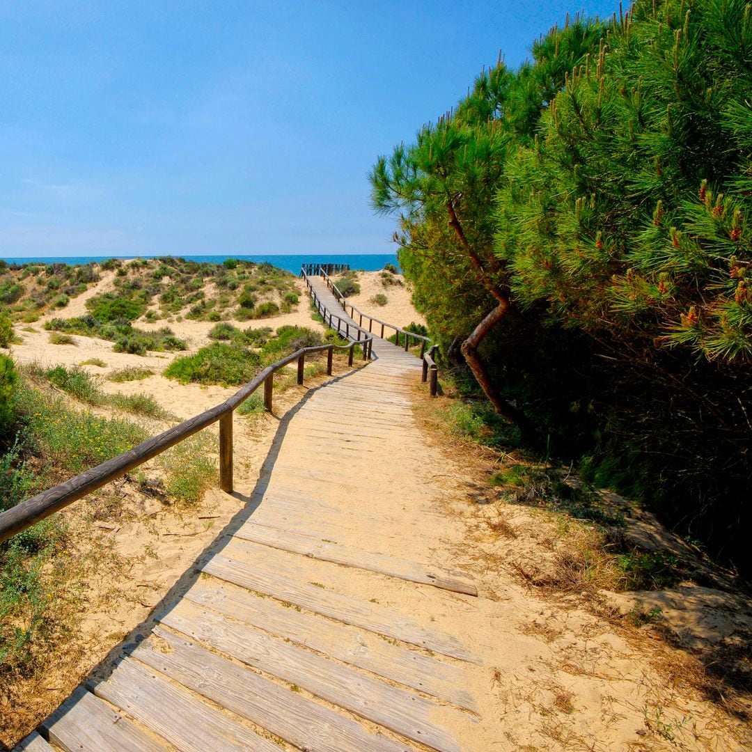 Dunas en la playa de El Portil, Punta Umbría, Huelva