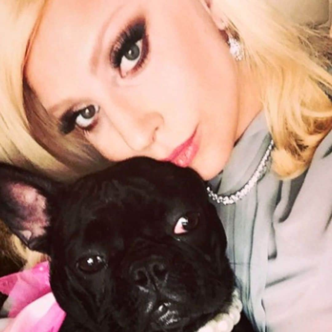 Lady Gaga recupera ilesos a sus dos perros robados tras un violento asalto