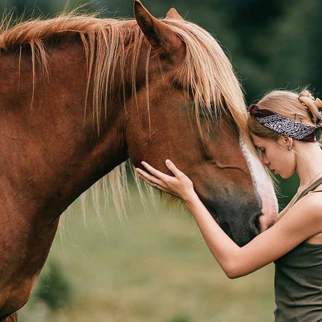 Animales que (casi) nunca duermen: hasta 84 horas sin pegar ojo