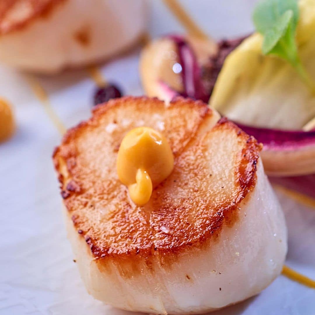 Vieiras a la plancha con endibias y crema de su coral