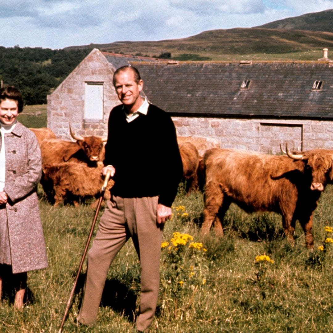 La historia que te dejará con la boca abierta de las vacas de la Reina de Inglaterra