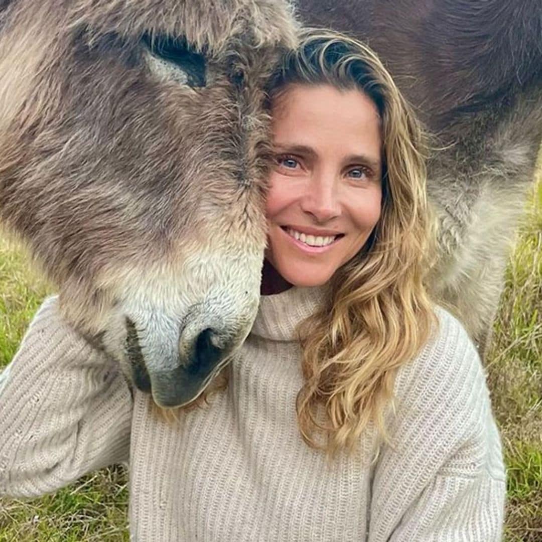 La casa de Elsa Pataky, una auténtica granja: estos son los animales que tiene en Byron Bay