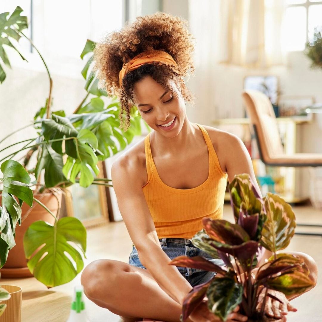 Las plantas ideales que se adaptan al calor en tu hogar