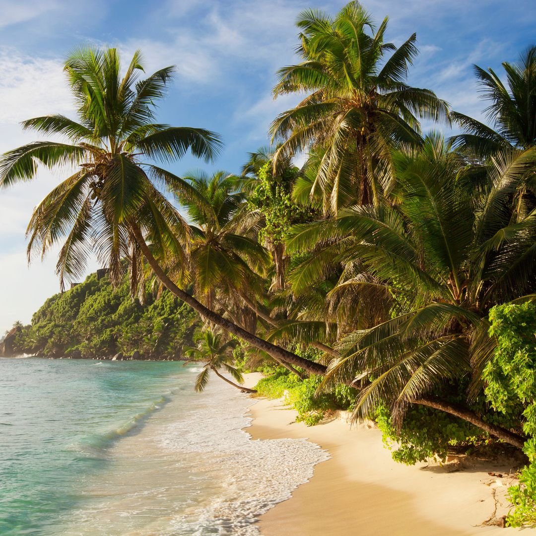 Playas perfectas de las islas Seychelles