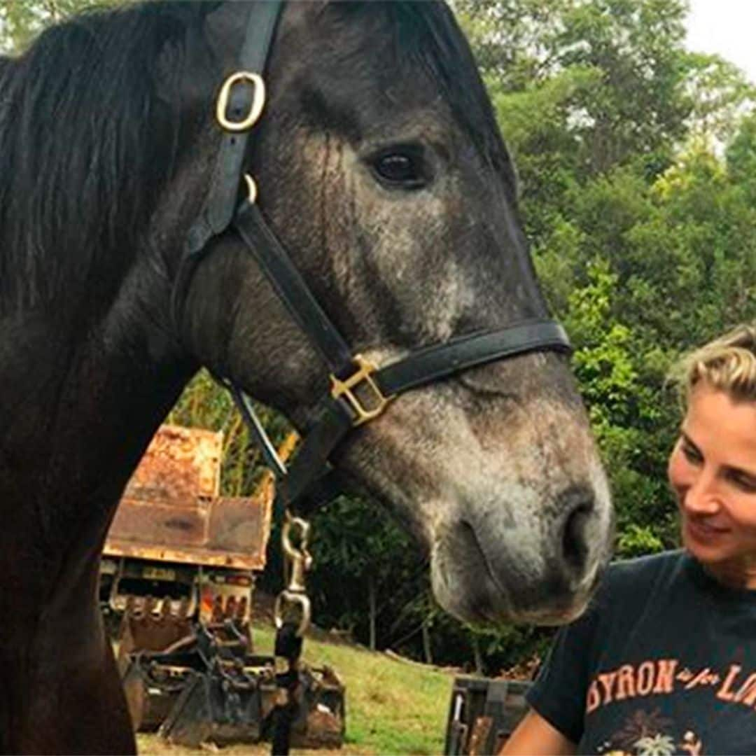 ¡Corre, Elsa, corre! Chris Hemsworth 'demuestra' que su mujer es más rápida que un caballo