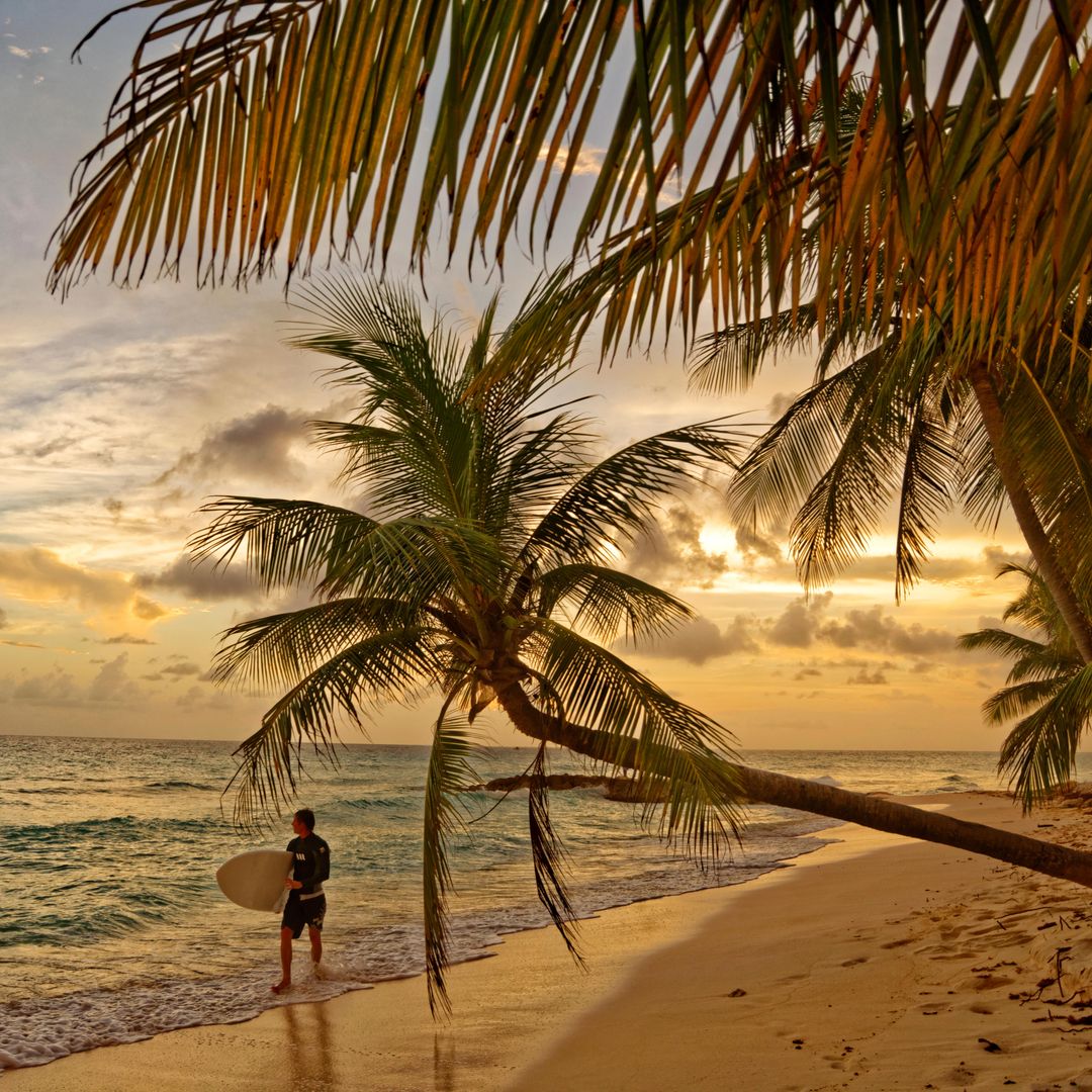 Surfer y atardecer en la playa Dover, Barbados, Caribe