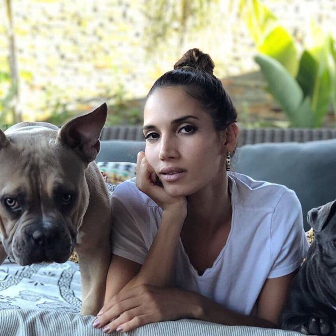 India Martínez nos presenta a Buddha y Tango, sus perros ‘instagrammers’