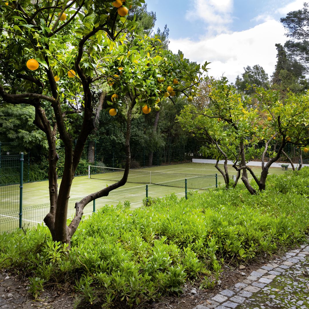 La pista de tenis, flanqueada por naranjos.