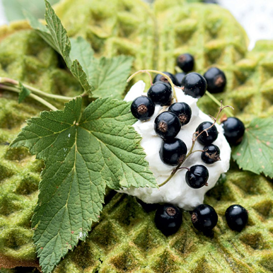 Repostería: té matcha para golosos