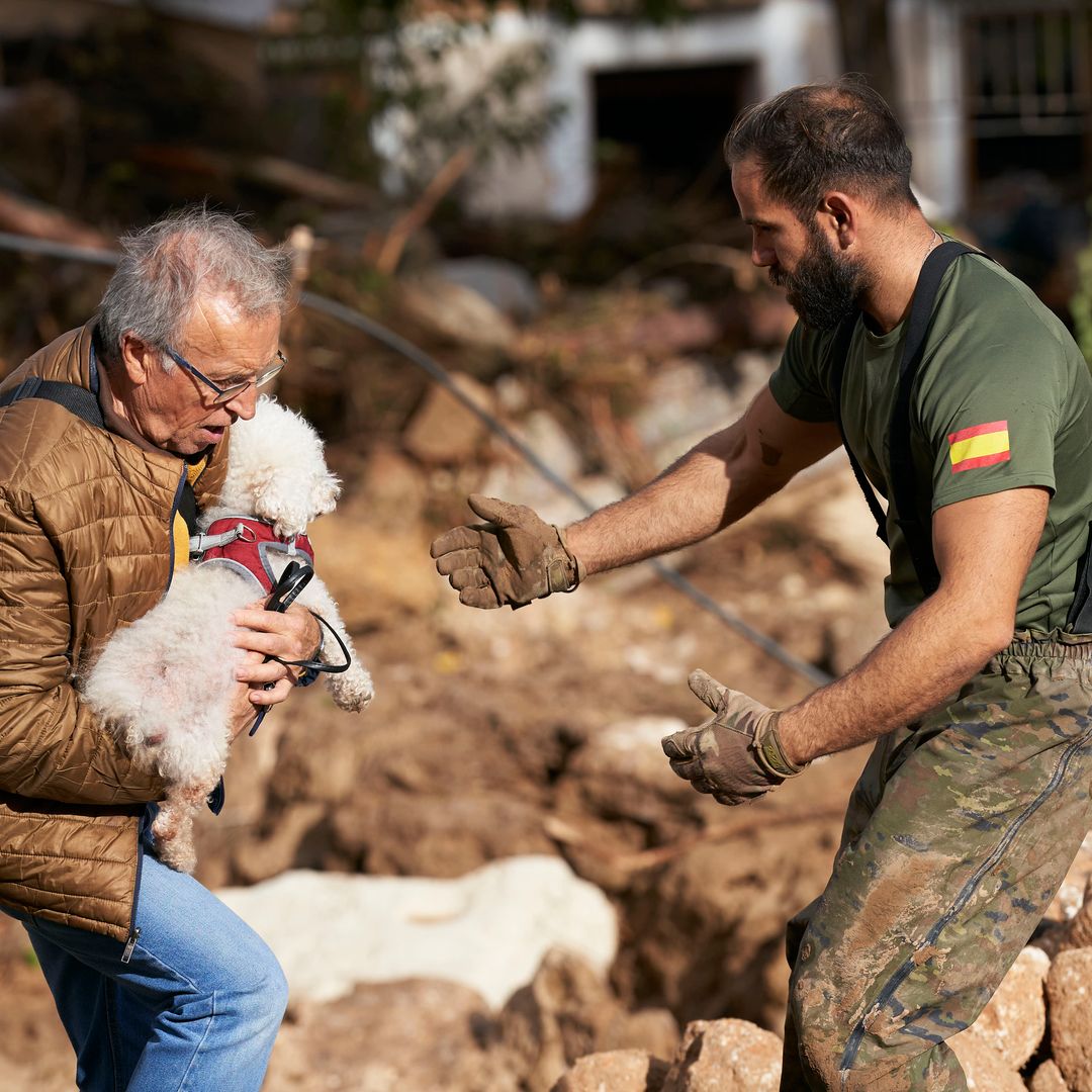 La sobrecogedora imagen de unos perros en un refugio de Valencia anegado de agua