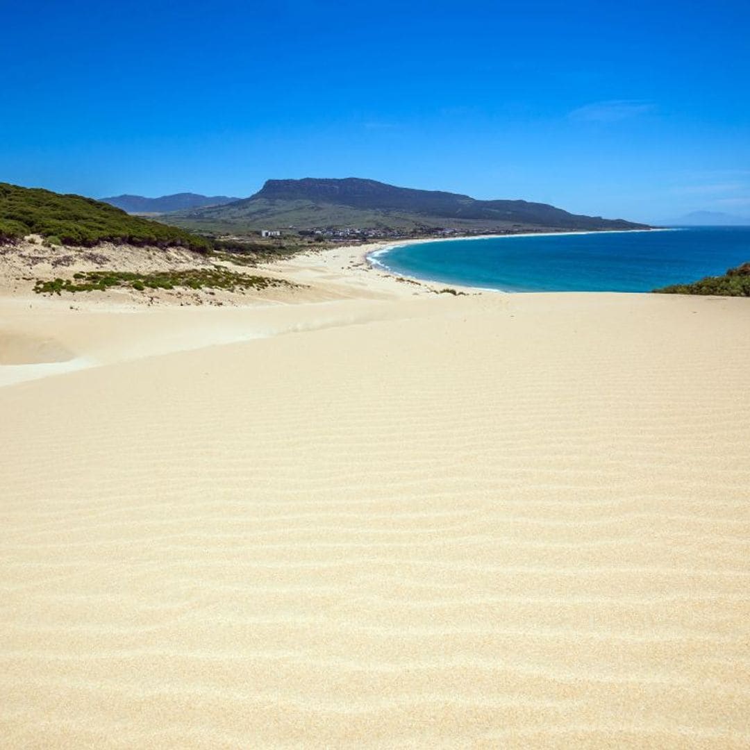 bolonia cadiz