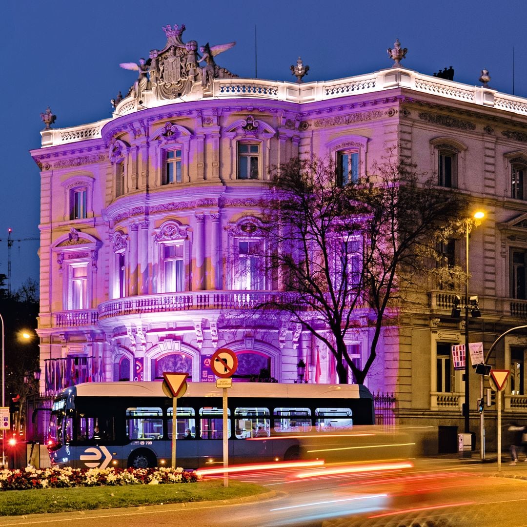 PALACIO DE LINARES