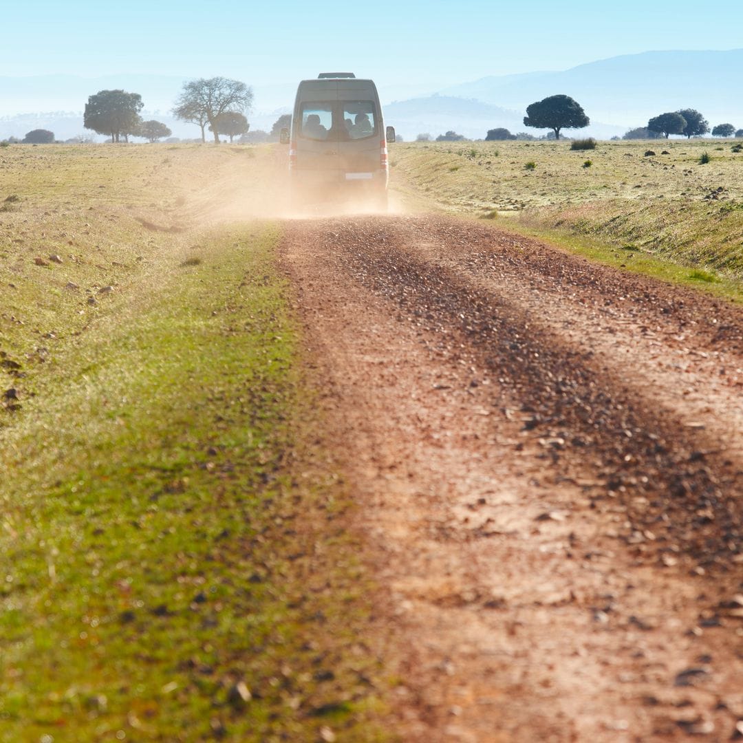 Cabañeros National Park, between Toledo and Ciudad Real. 4x4 experience in the park