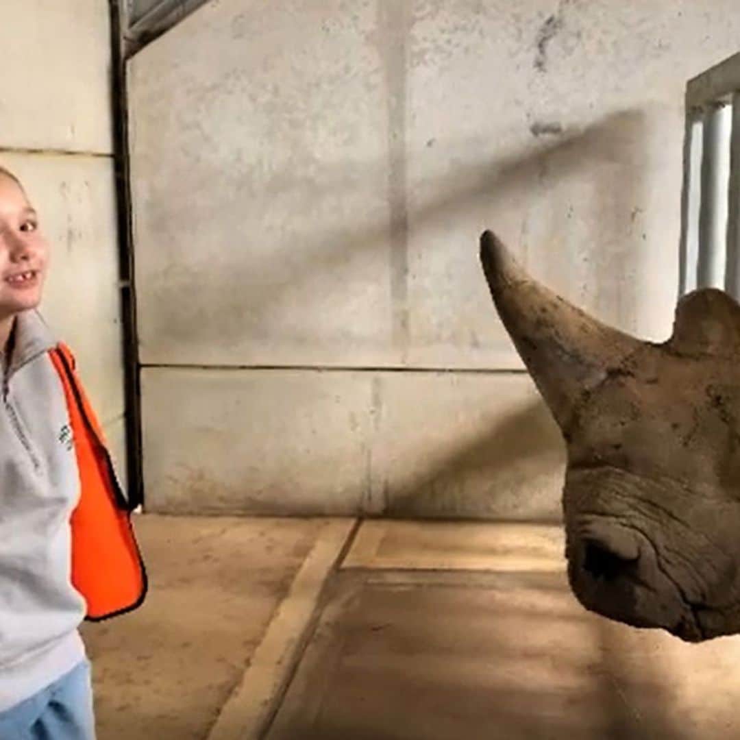 Harper Beckham y su especial relación con perros, jirafas... ¡y rinocerontes!