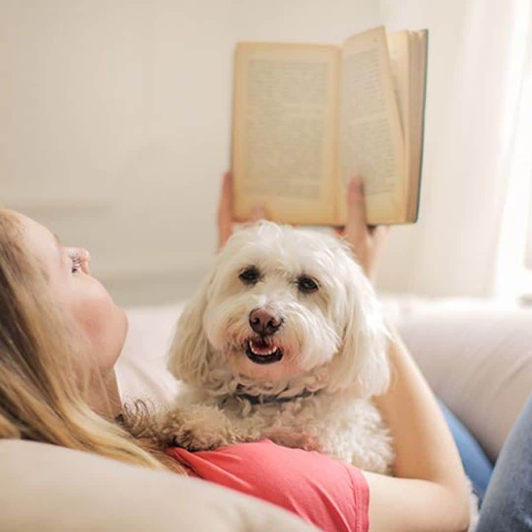 14 libros de animales que te harán llorar de emoción