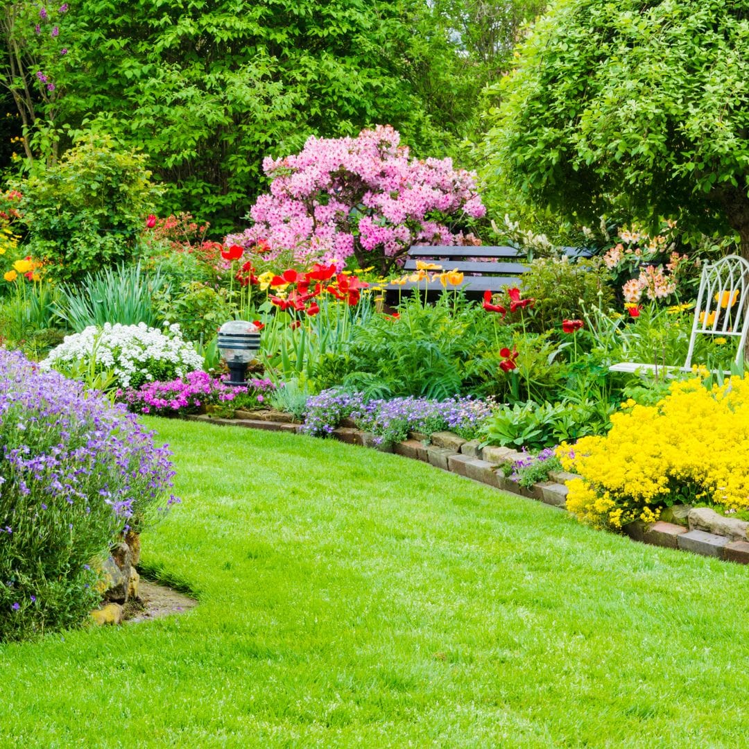 Jardín con césped y flores