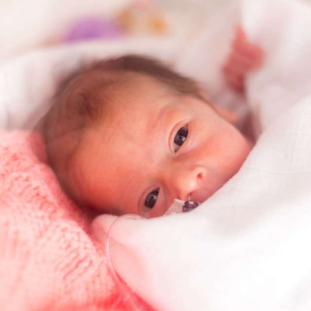 Niña recién nacida prematura en la incubadora del hospital después de una cesárea en la semana 33