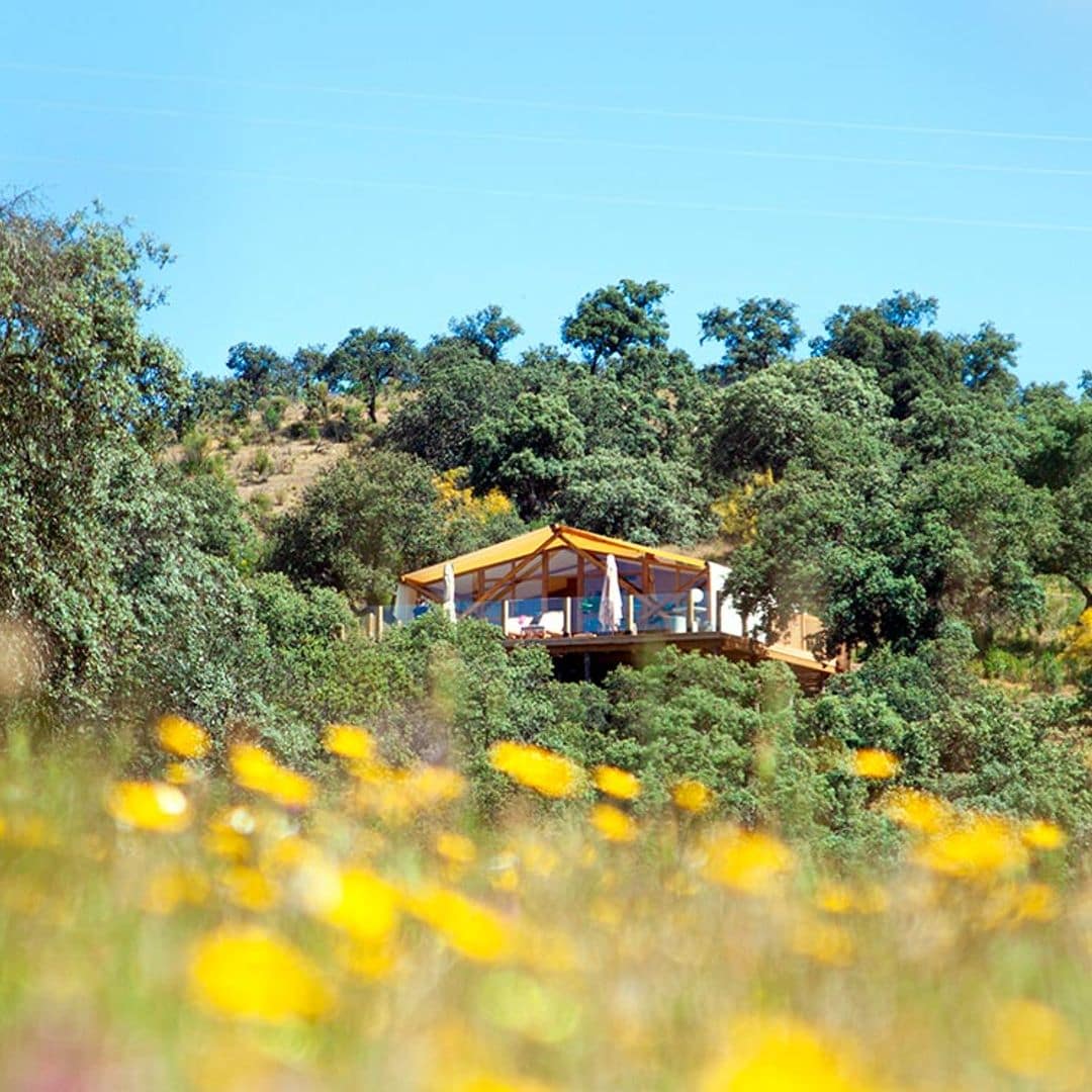 Las cabañas con las que siempre soñaste están en la dehesa cordobesa