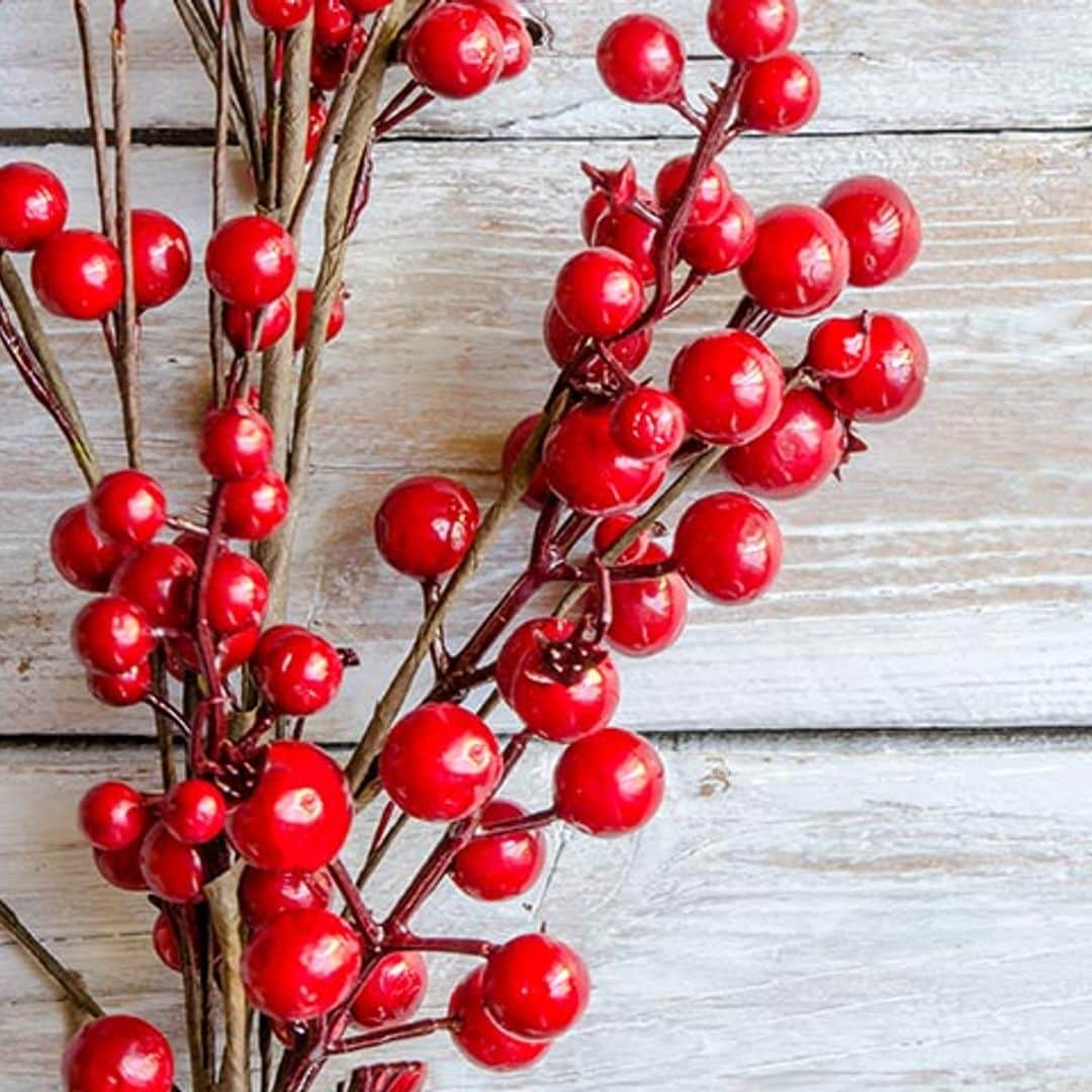 Plantas navideñas que no son la Flor de Pascua