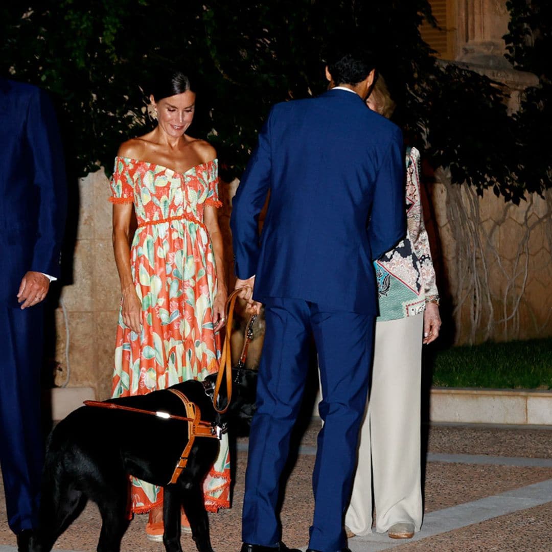 Cayden, el perro guía del atleta paralímpico Joan Munar Martínez que conquistó a la reina Letizia