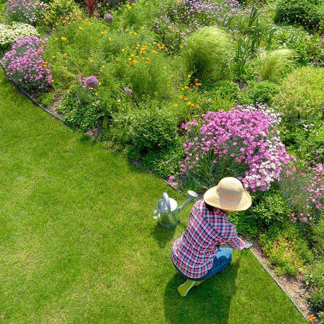 cuidados jardin primavera