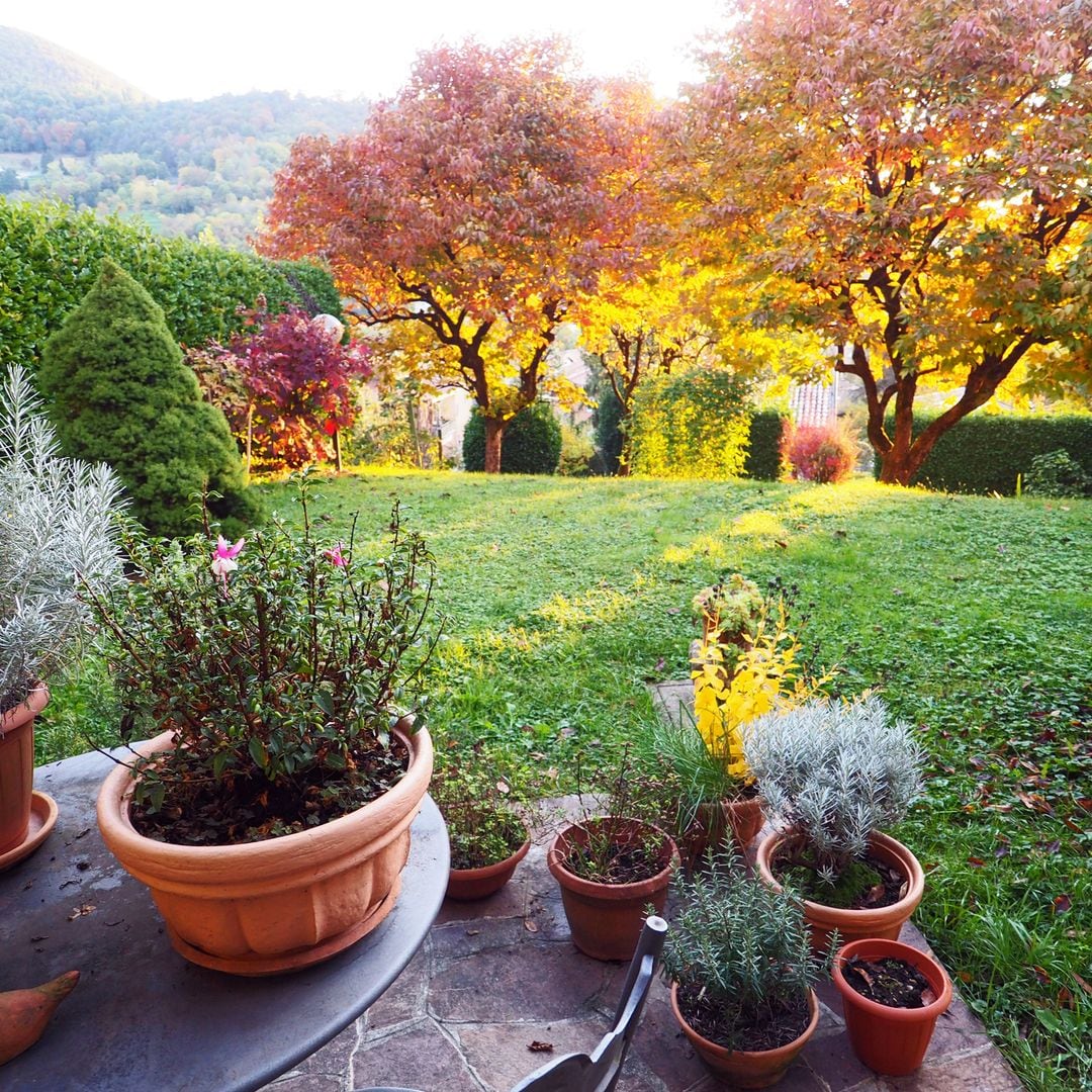 Un otoño de ensueño: el jardín se transforma con los consejos del paisajista Jan Jacob van Eijle