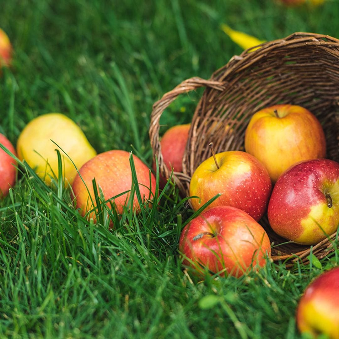 Dos manzanas al día, el mejor tratamiento para mantener a raya el colesterol