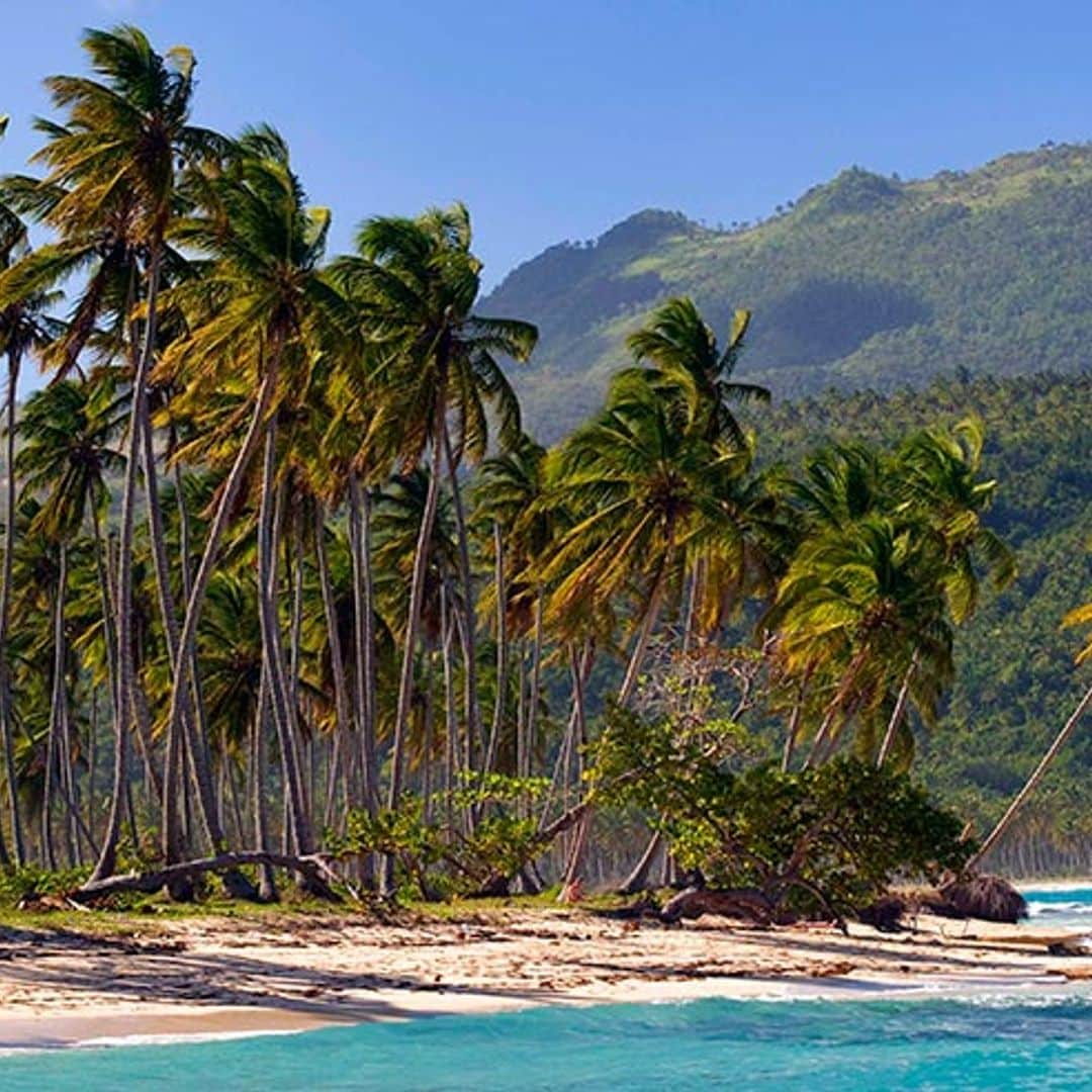 Samaná: playas de postal, cocoteros, sabor caribeño y… ¡ballenas! 