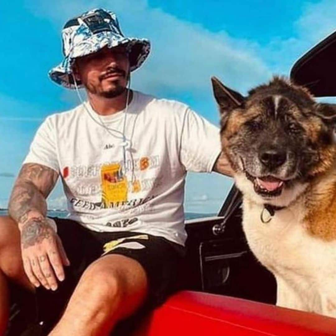 J Balvin despide a su fiel perrito que lo acompañó por 14 años: ‘Acaba de morir Enzo, mi gran parcero’