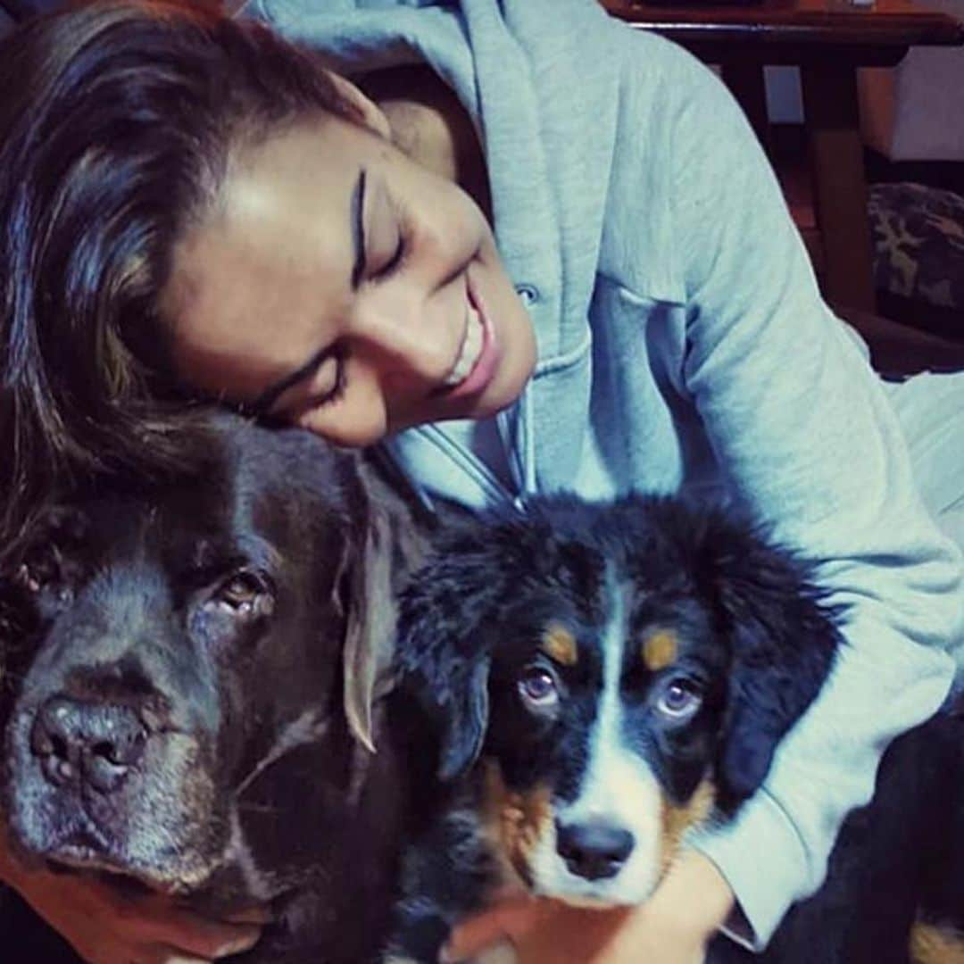 Lara Álvarez pierde a Choco, su 'amor eterno' con el que la hemos visto compartir tantos momentos felices