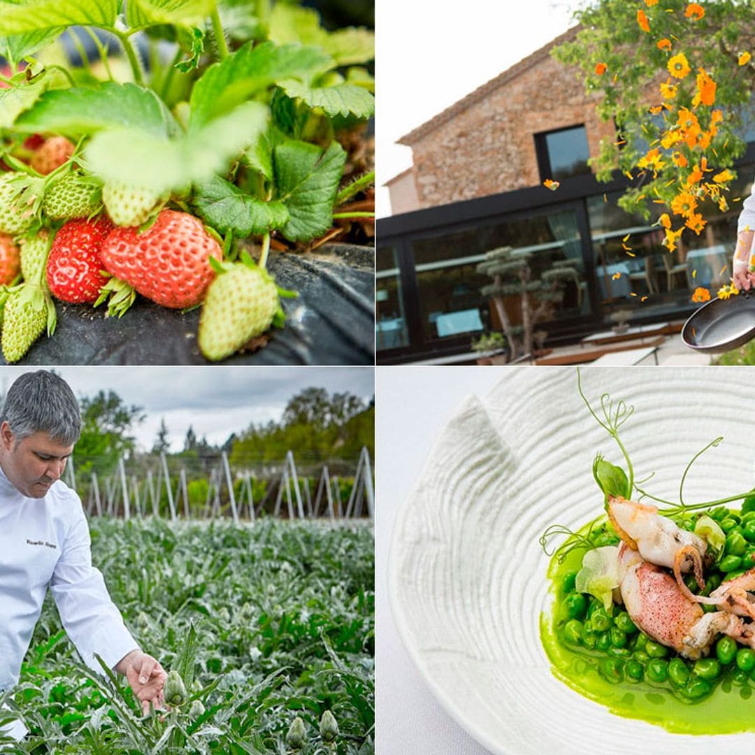 En estos restaurantes... ¡te llevan al huerto!