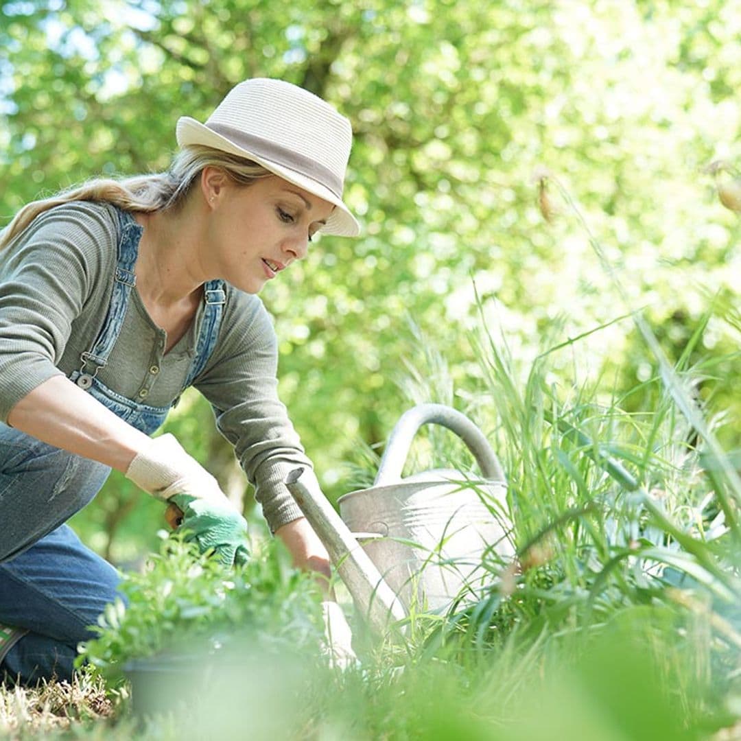 Protege tu pequeña huerta de las plagas de forma natural