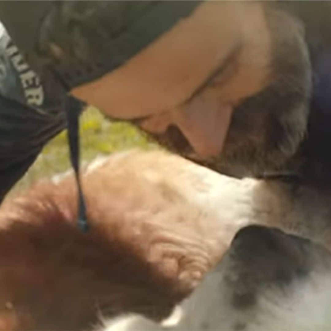 El último regalo de Pau Donés, un videoclip póstumo en el que se despide de su mascota