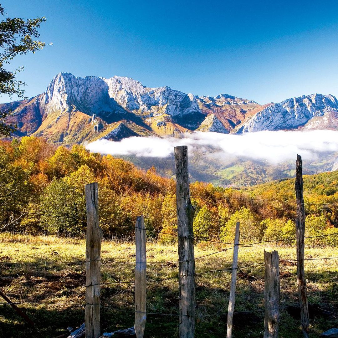 Parque Natural de Ponga (Asturias): el edén de los naturalistas