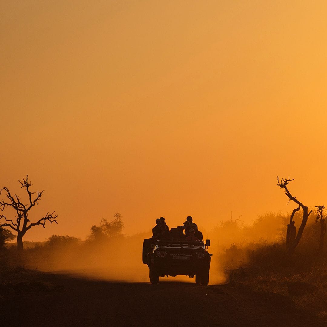 Reserva Natural de Madikwe, Sudáfrica