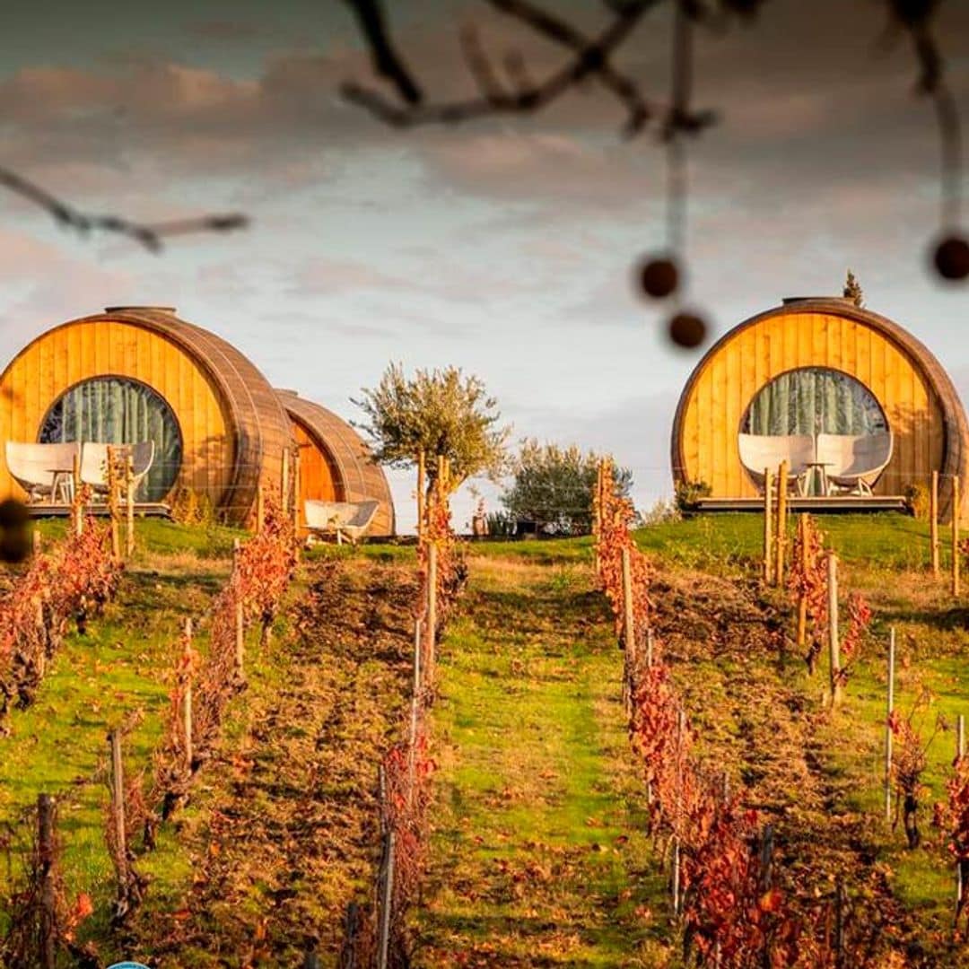 Barrica de Quinta da Pacheca en otoño, Portugal