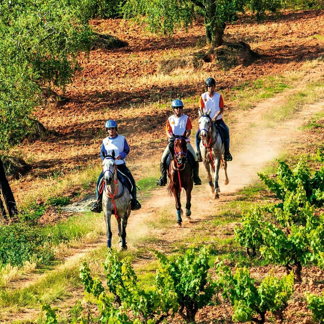 De Vallbona de les Monges a Guimerà (Lleida): estampas sacadas del Medievo