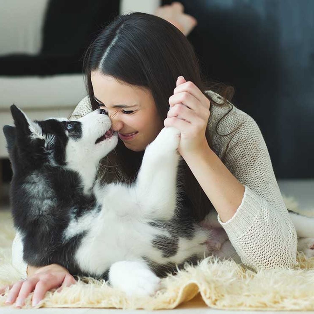 Por qué no deberías tratar a tu perro como si fuera tu hijo