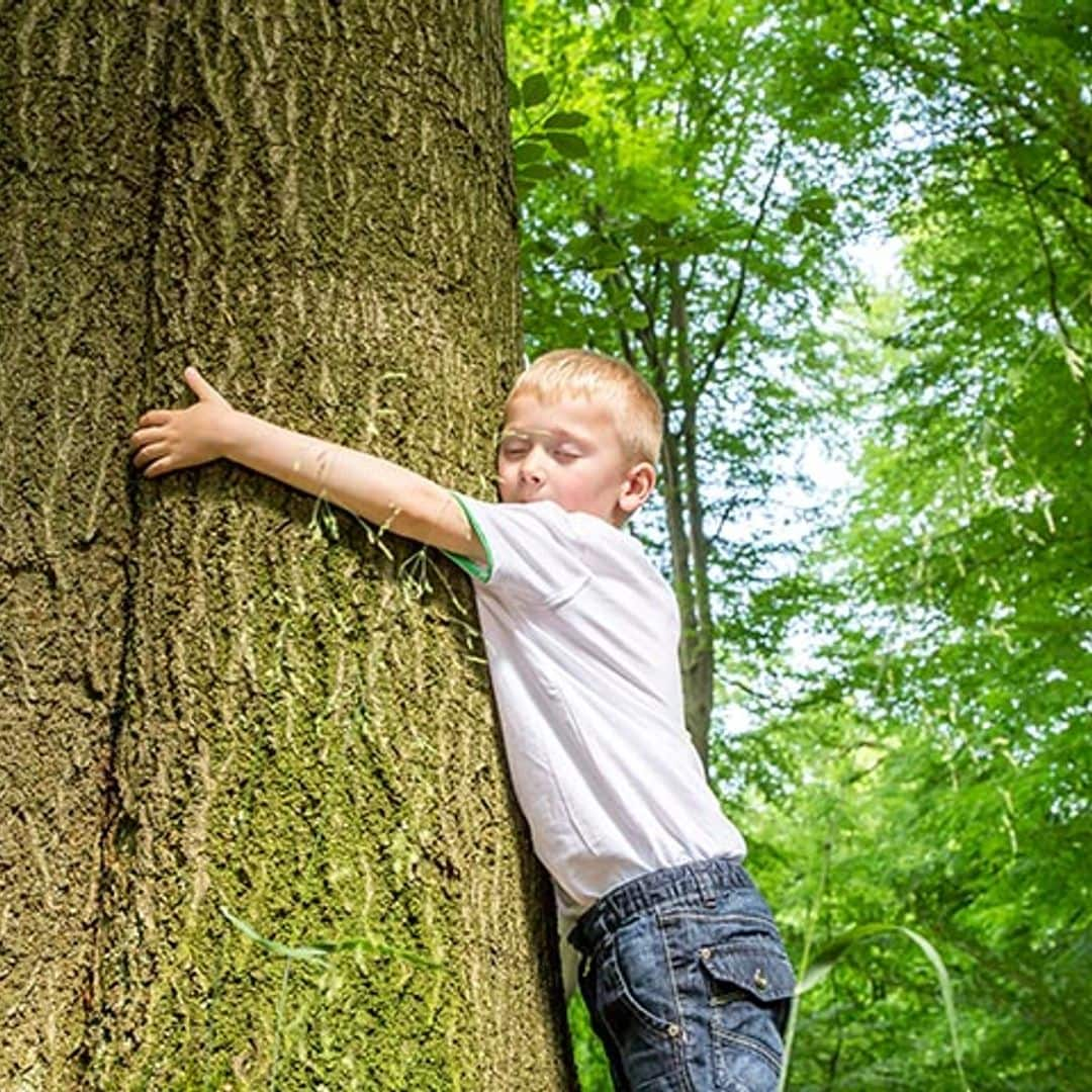 Enseña a tus hijos a cuidar el medio ambiente con estos pequeños gestos