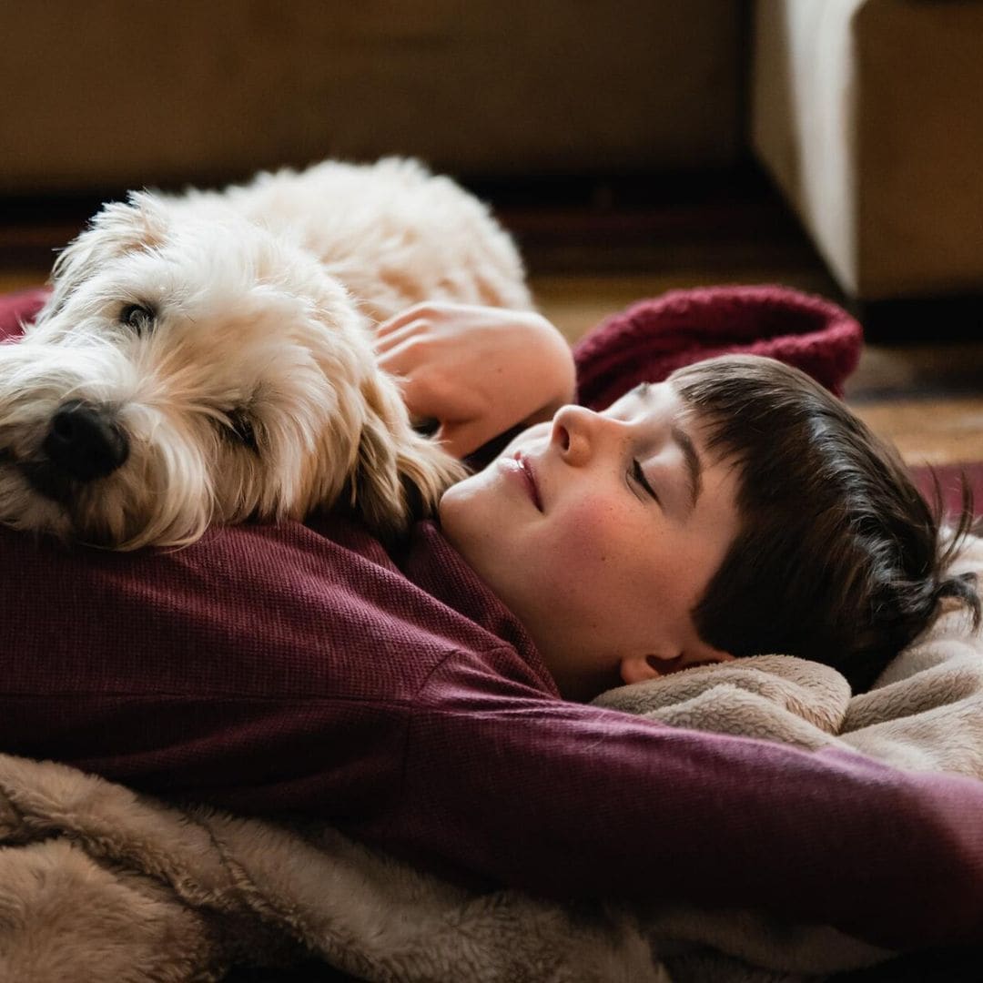 ¿Es aconsejable que un niño trasplantado conviva con una mascota?