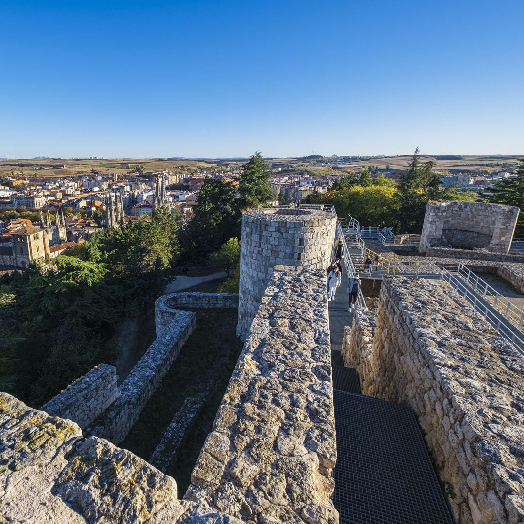 Castillo de Burgos