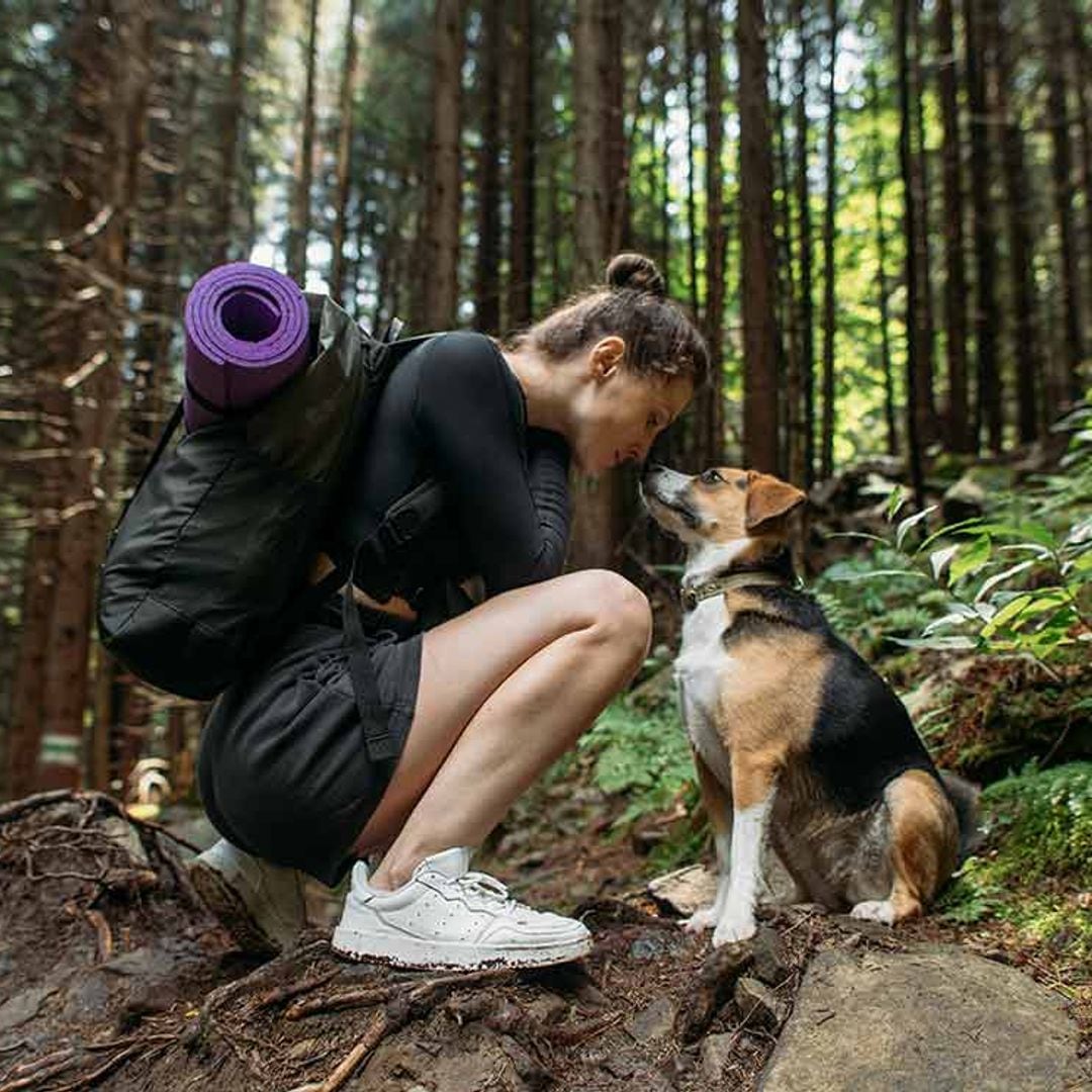 Consejos para hacer senderismo con tu perro (y algunas rutas que no debes perderte)