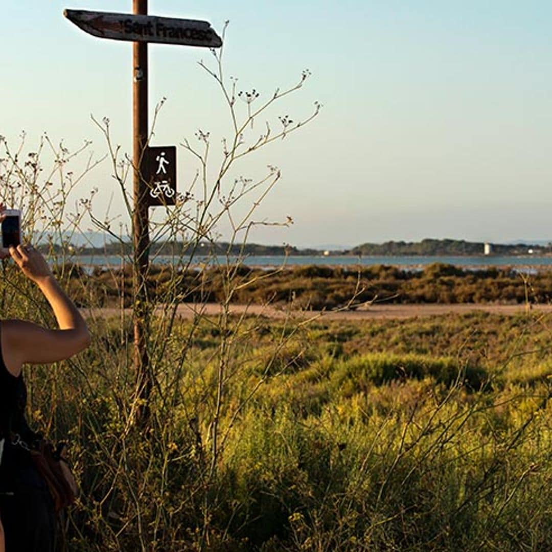 Rutas verdes de Formentera para recorrer a pie o en bici