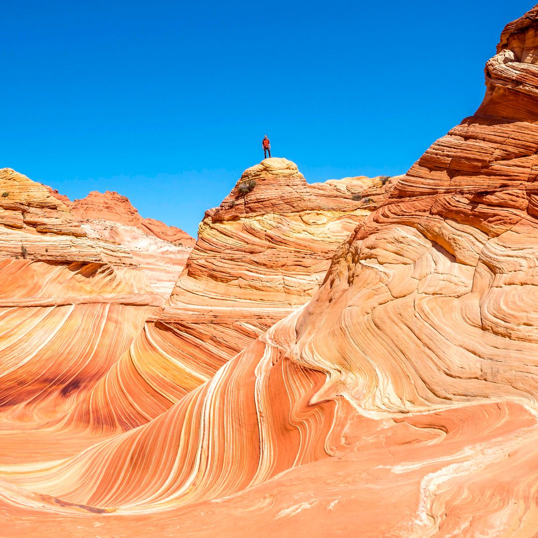 Paisaje conocido como The Wave en Arizona, Estados Unidos