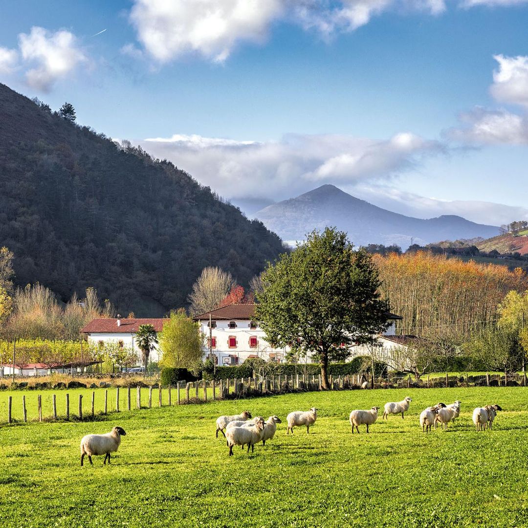 Señorío de Bertiz (Navarra): el tesoro de los bosques navarros