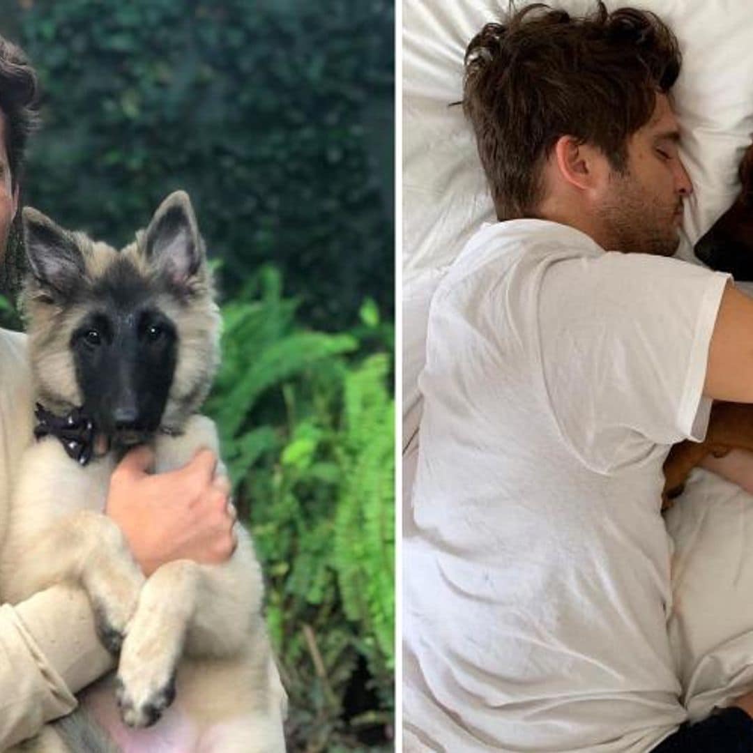 Diego Boneta y las fotos en que presume su gran amor por los perros