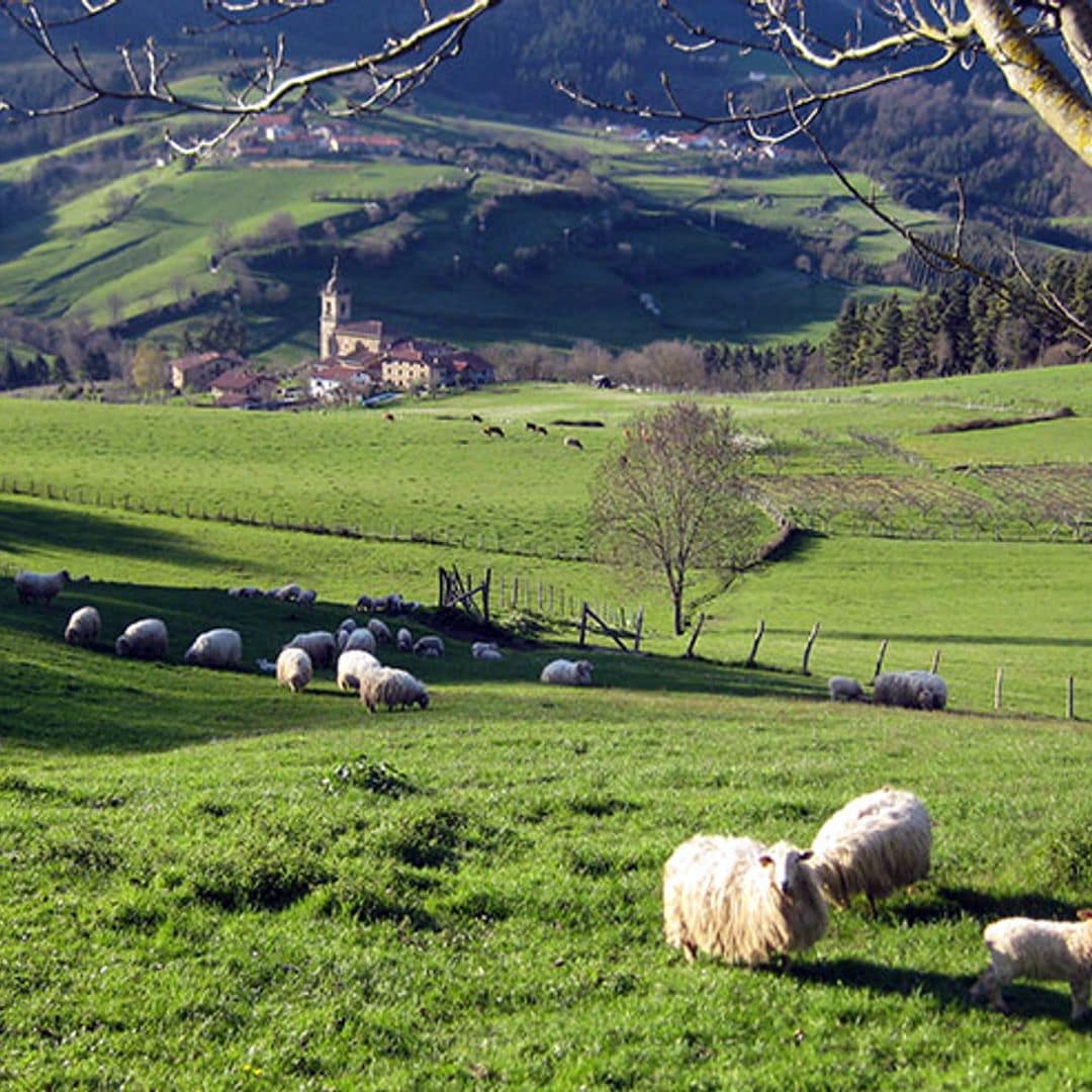 Siete experencias auténticas para vivir en Gorbeia, el corazón verde del País Vasco