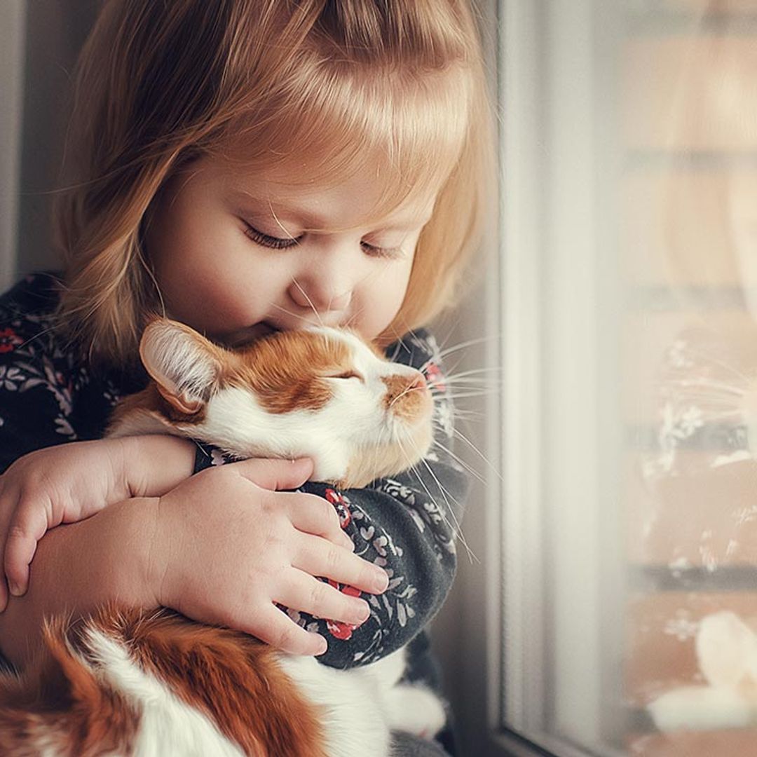 Estas son las razas de gatos más cariñosos con los niños