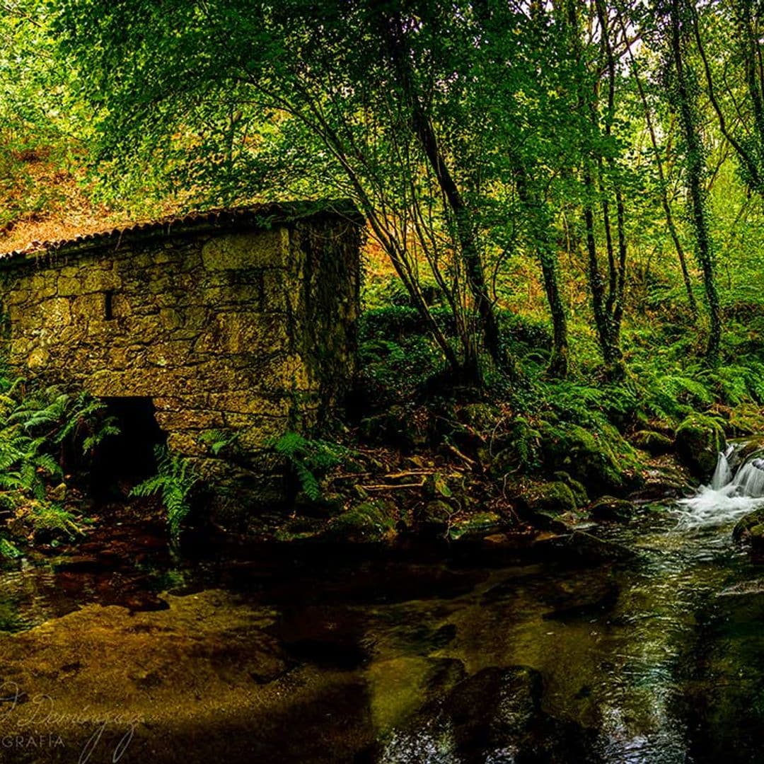 0 panoramica molino puente