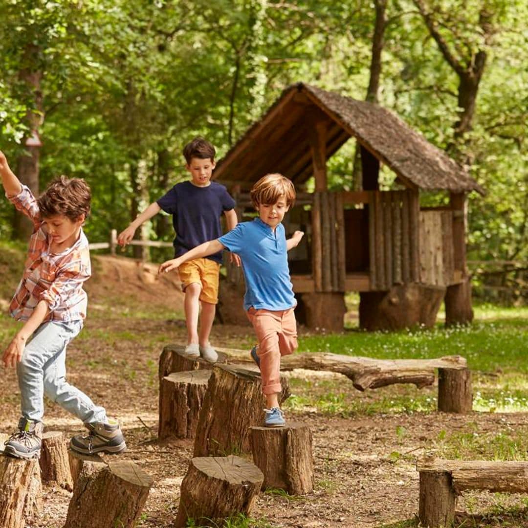 Los mejores bosques de España para disfrutar con niños